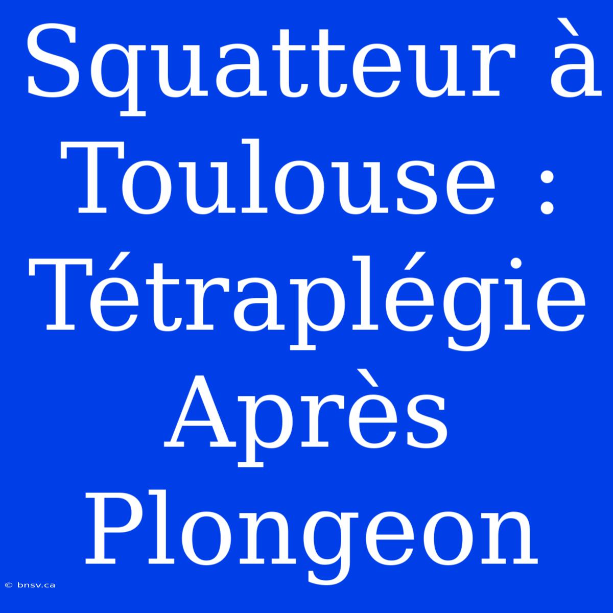 Squatteur À Toulouse : Tétraplégie Après Plongeon