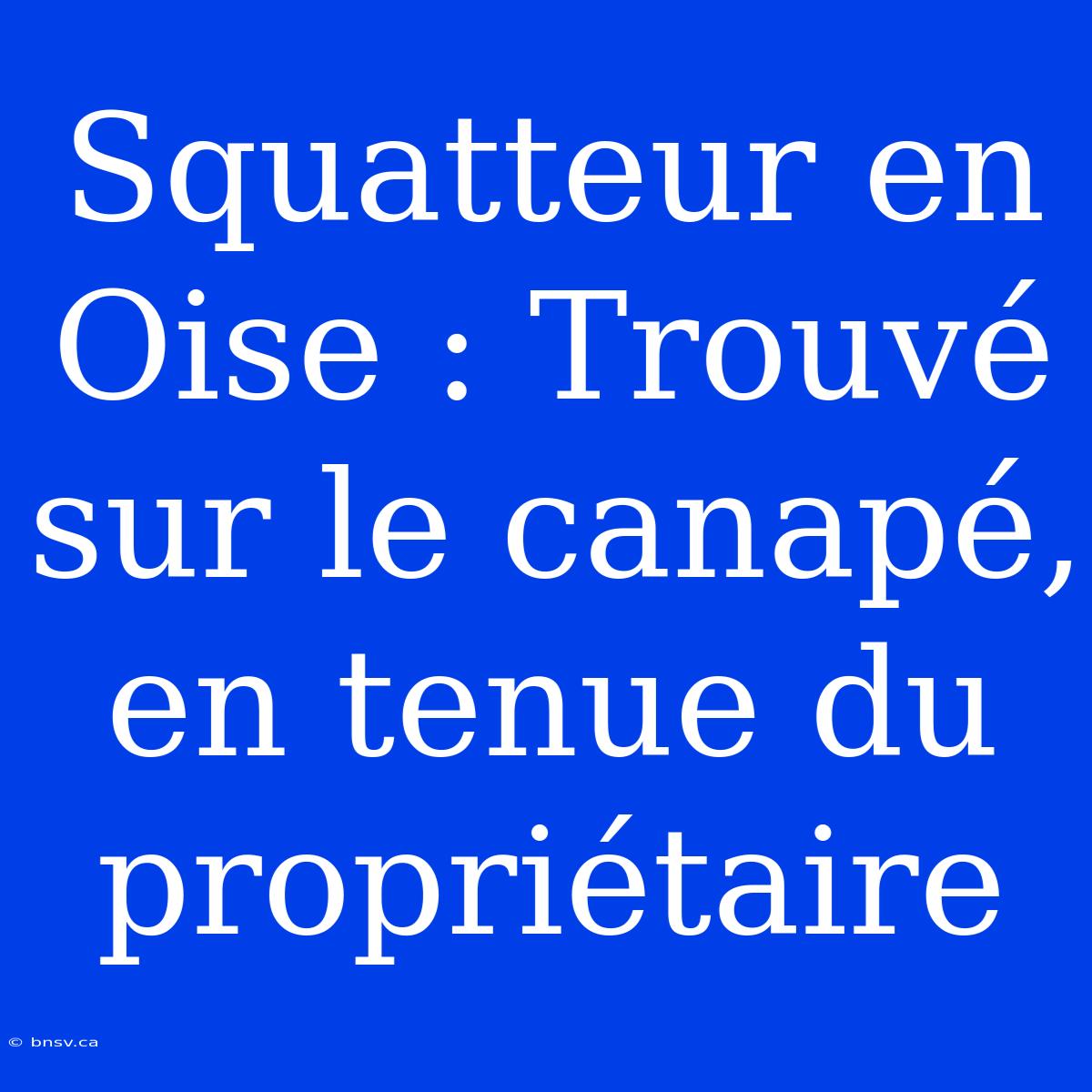 Squatteur En Oise : Trouvé Sur Le Canapé, En Tenue Du Propriétaire