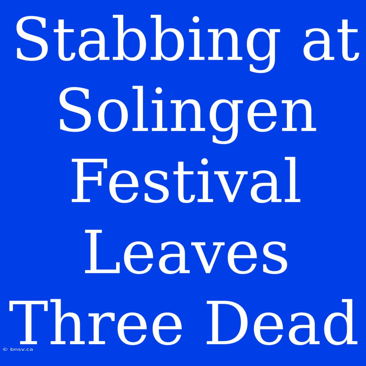 Stabbing At Solingen Festival Leaves Three Dead