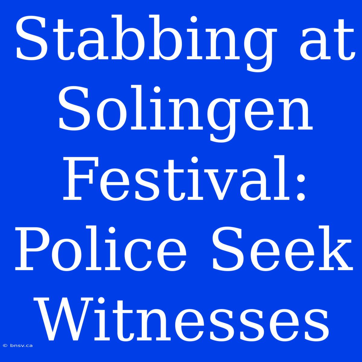 Stabbing At Solingen Festival: Police Seek Witnesses