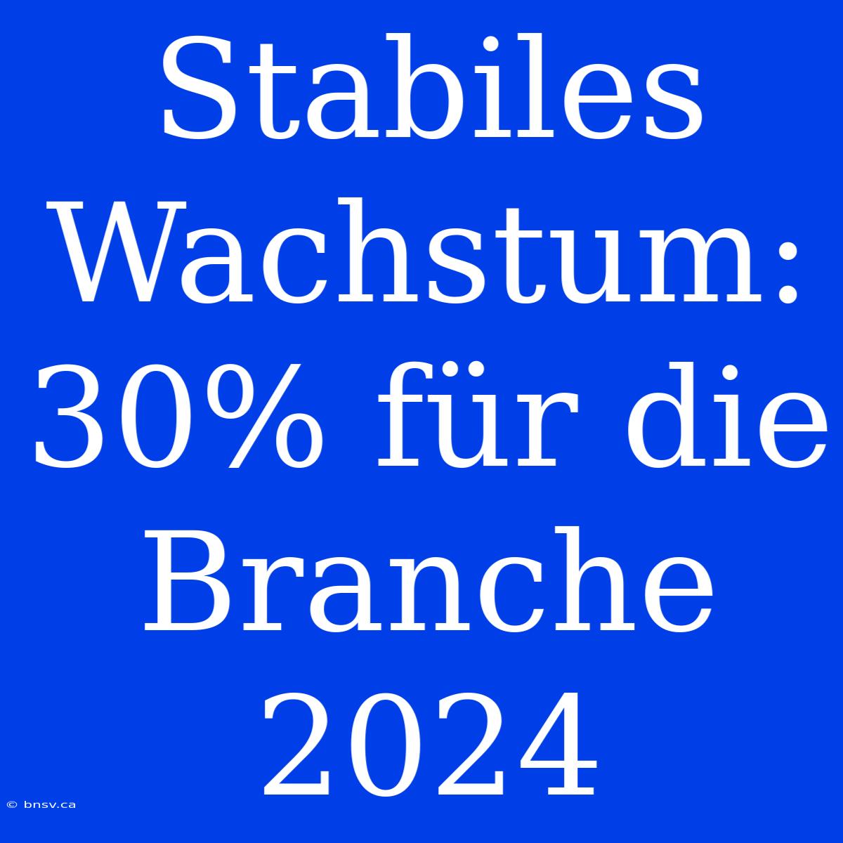 Stabiles Wachstum: 30% Für Die Branche 2024