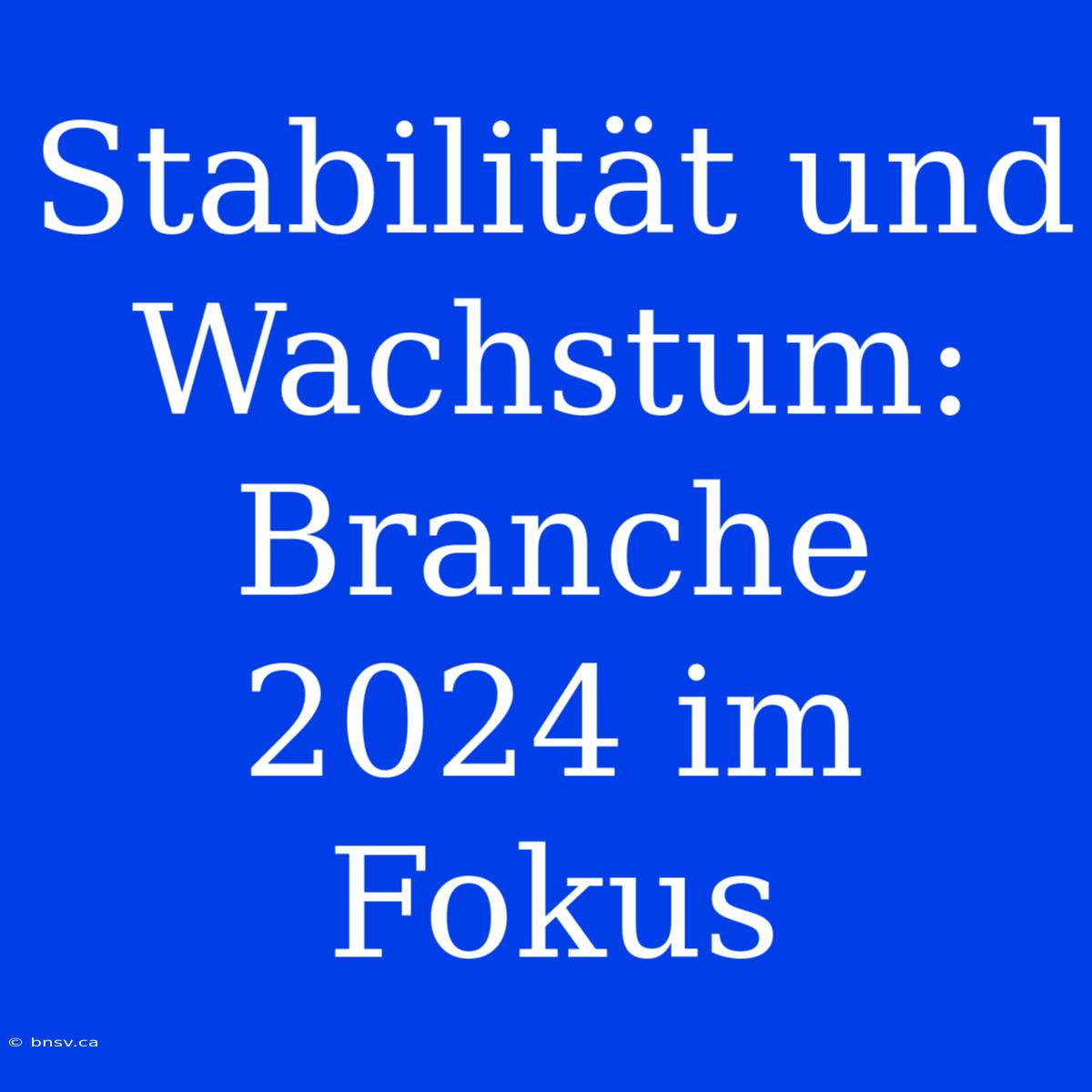 Stabilität Und Wachstum: Branche 2024 Im Fokus