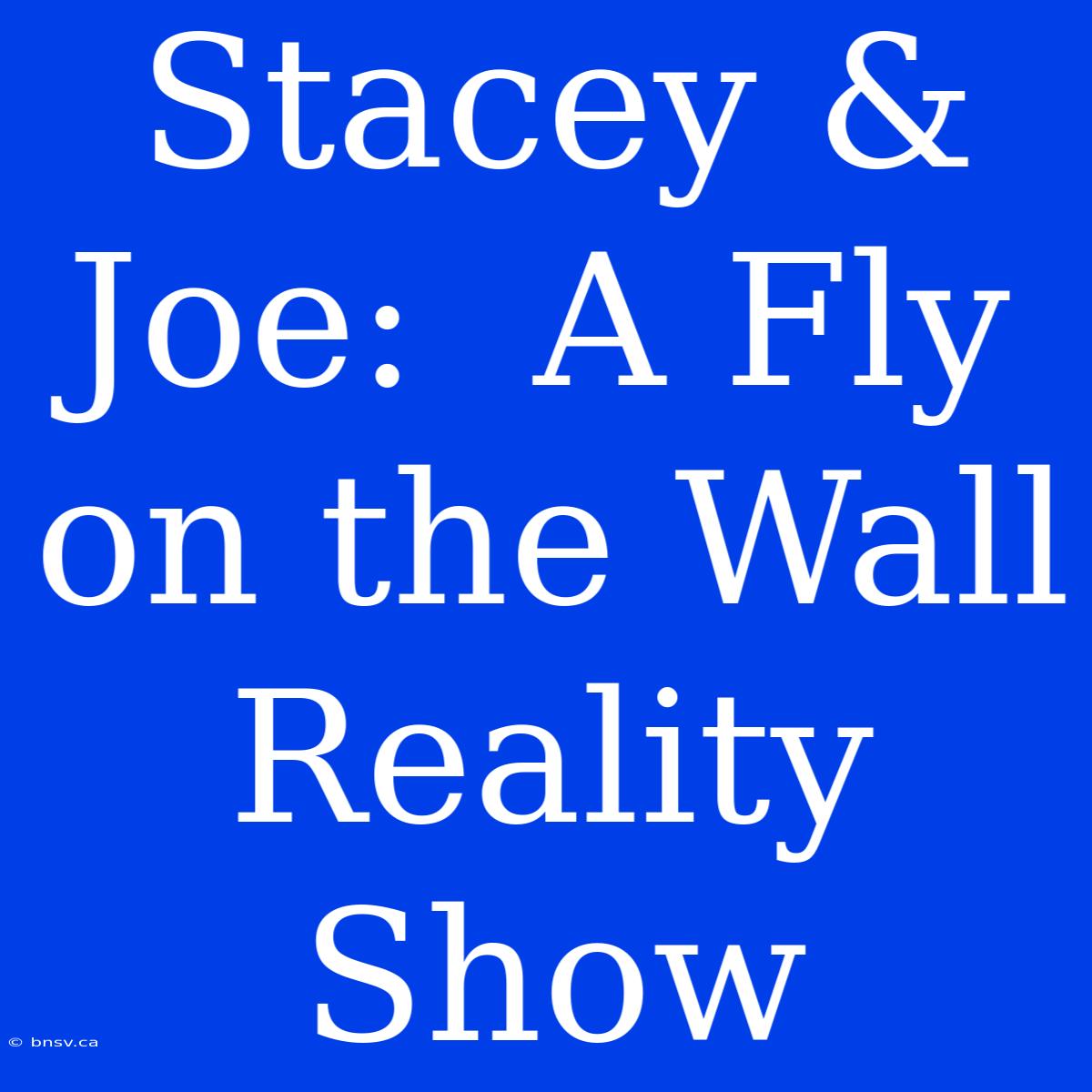 Stacey & Joe:  A Fly On The Wall Reality Show