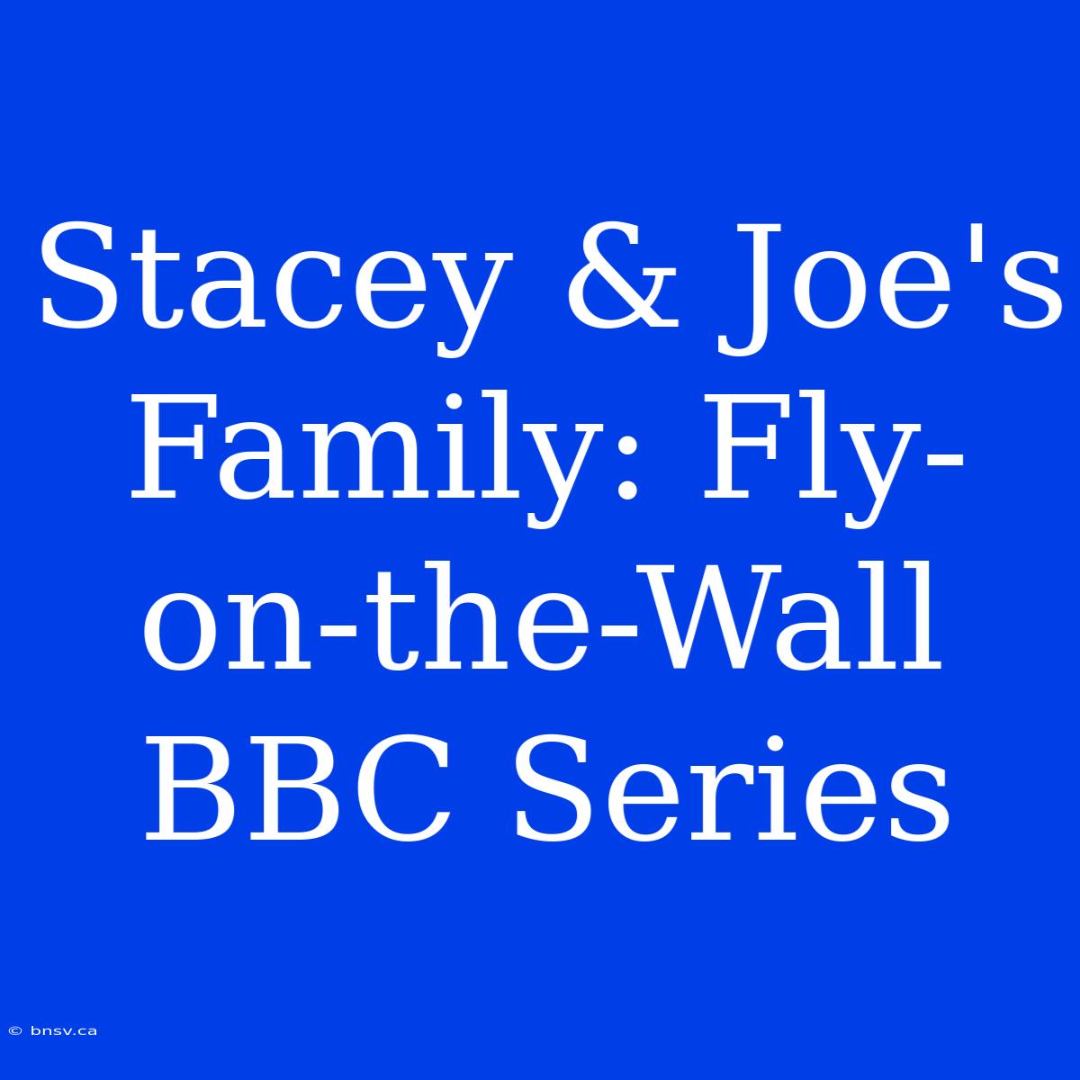 Stacey & Joe's Family: Fly-on-the-Wall BBC Series