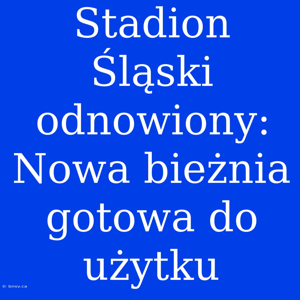 Stadion Śląski Odnowiony: Nowa Bieżnia Gotowa Do Użytku