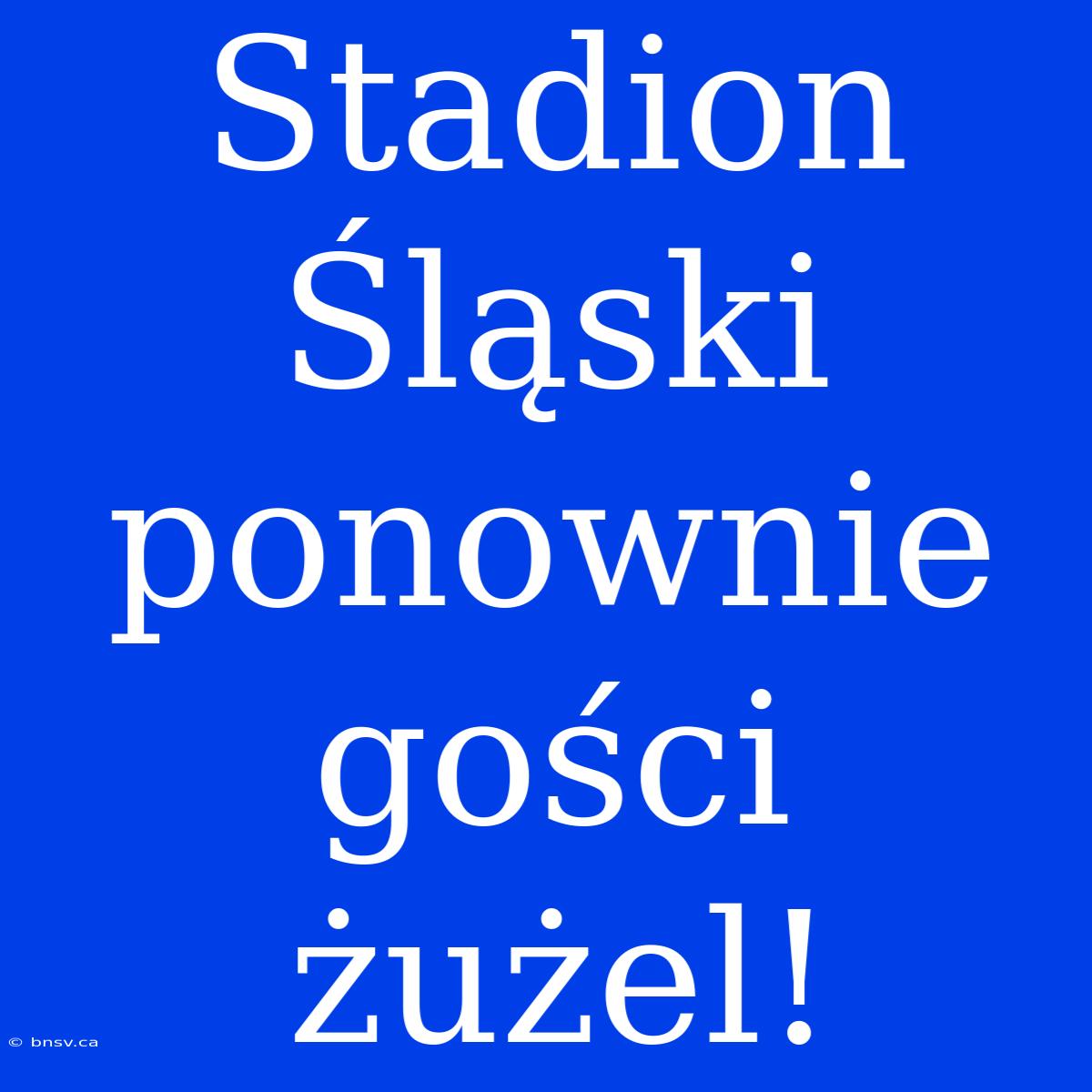 Stadion Śląski Ponownie Gości Żużel!