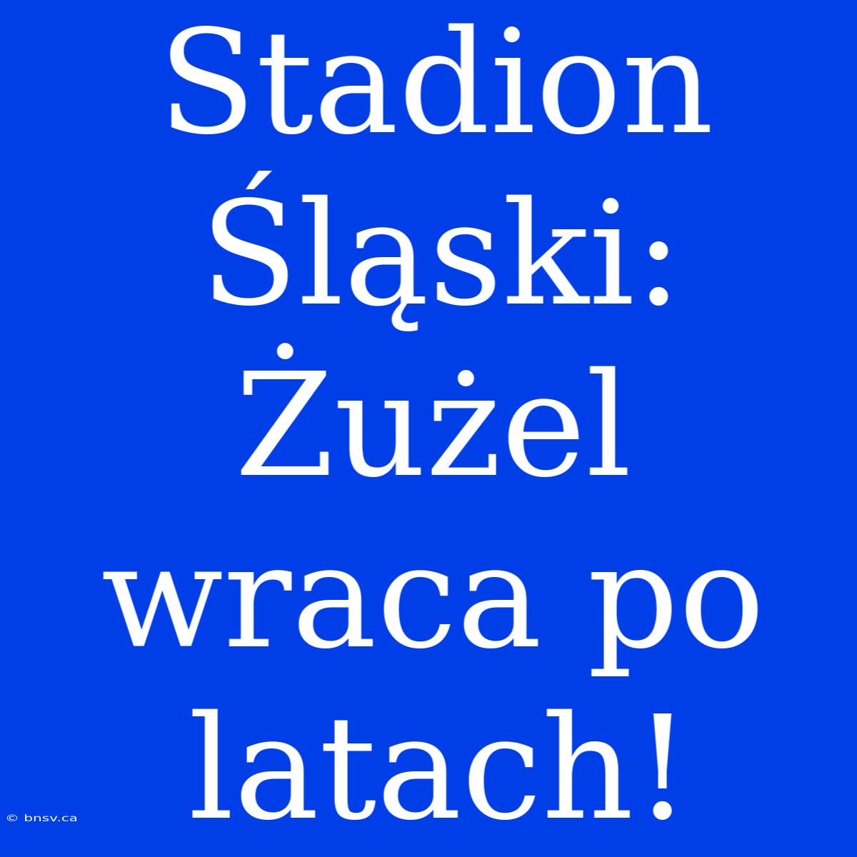 Stadion Śląski: Żużel Wraca Po Latach!