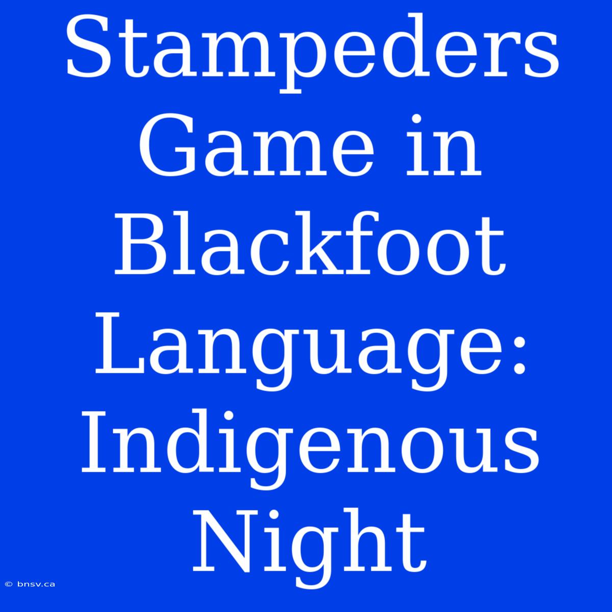 Stampeders Game In Blackfoot Language: Indigenous Night