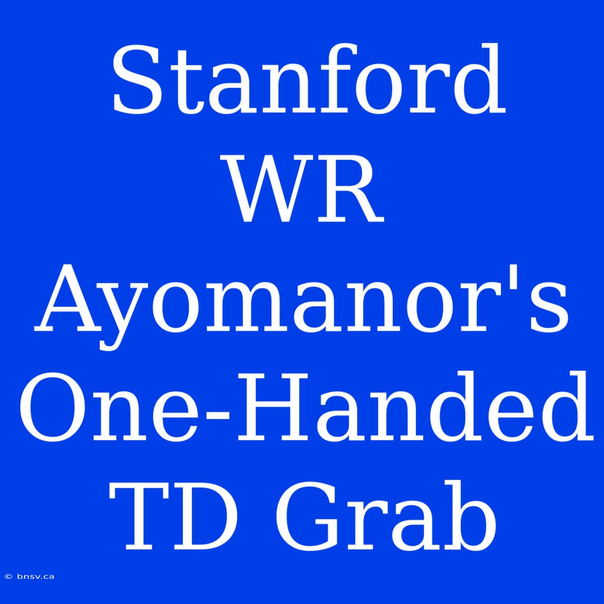 Stanford WR Ayomanor's One-Handed TD Grab