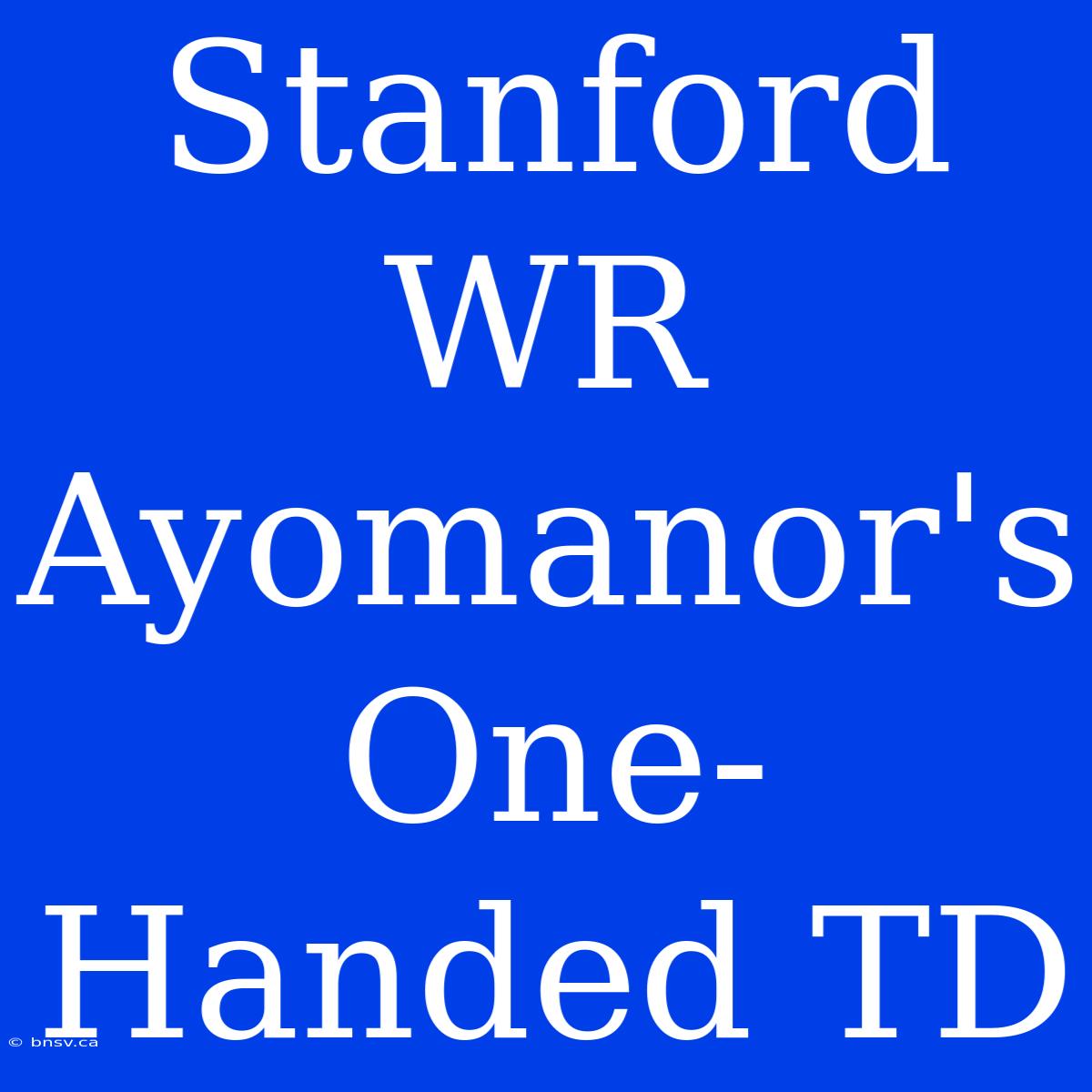 Stanford WR Ayomanor's One-Handed TD