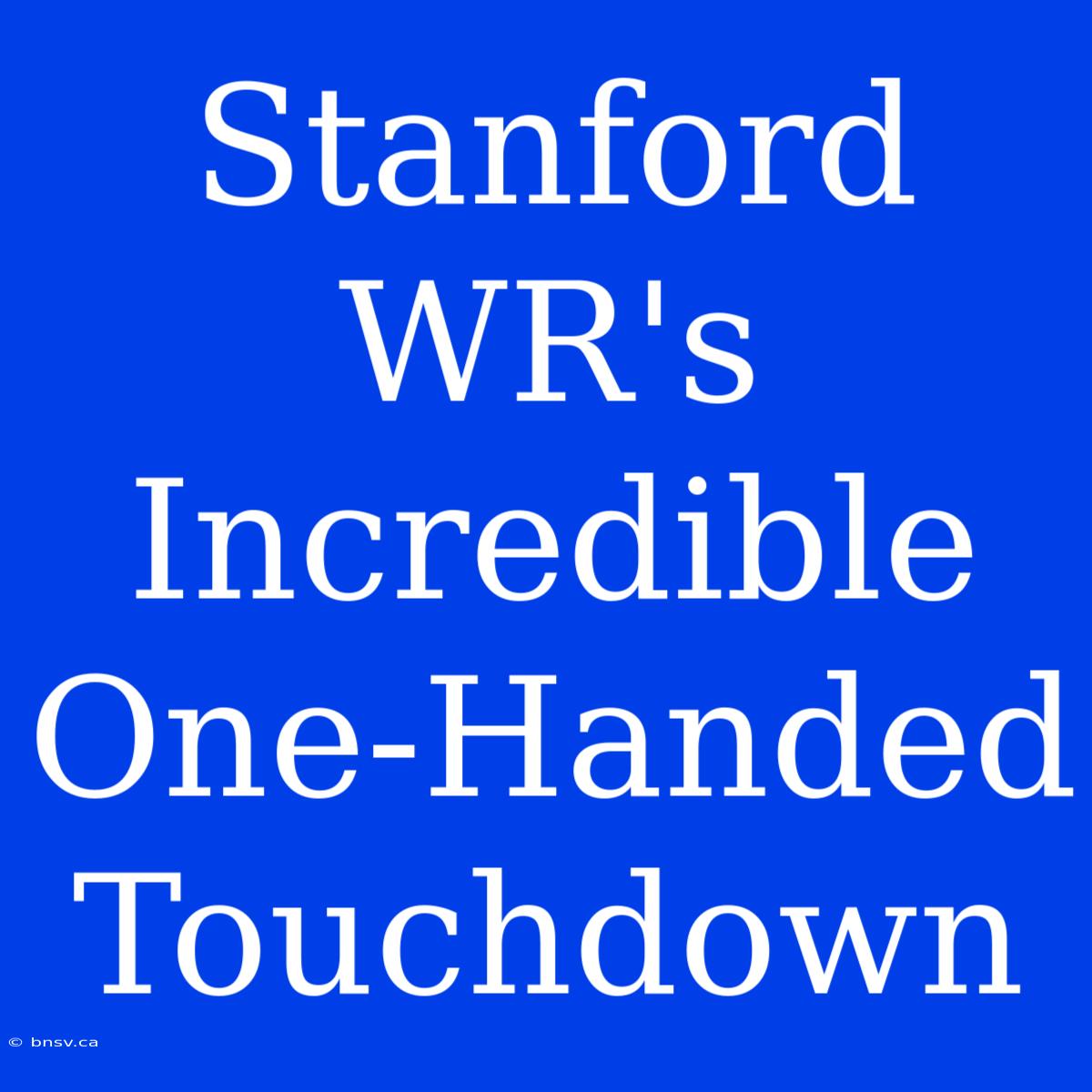 Stanford WR's Incredible One-Handed Touchdown