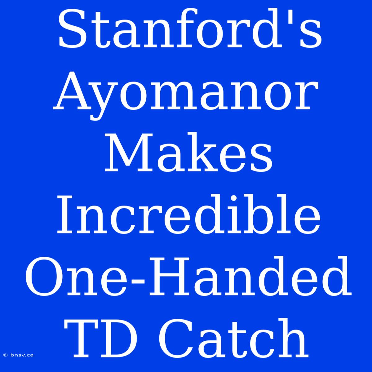 Stanford's Ayomanor Makes Incredible One-Handed TD Catch