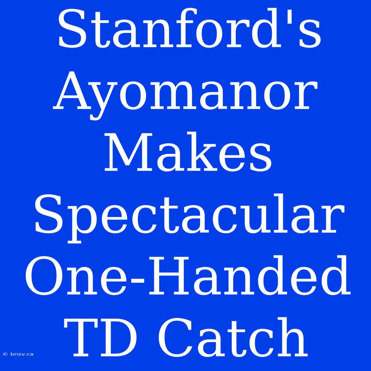 Stanford's Ayomanor Makes Spectacular One-Handed TD Catch