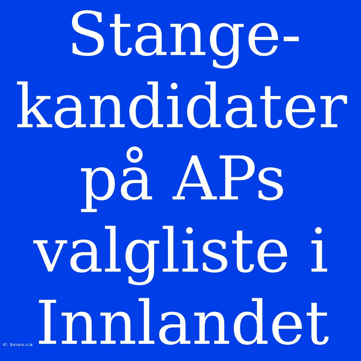 Stange-kandidater På APs Valgliste I Innlandet