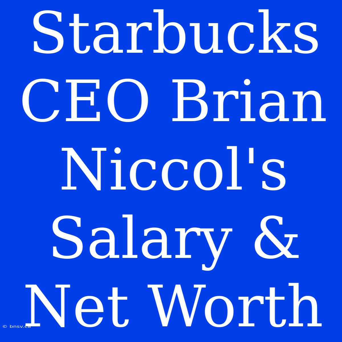 Starbucks CEO Brian Niccol's Salary & Net Worth