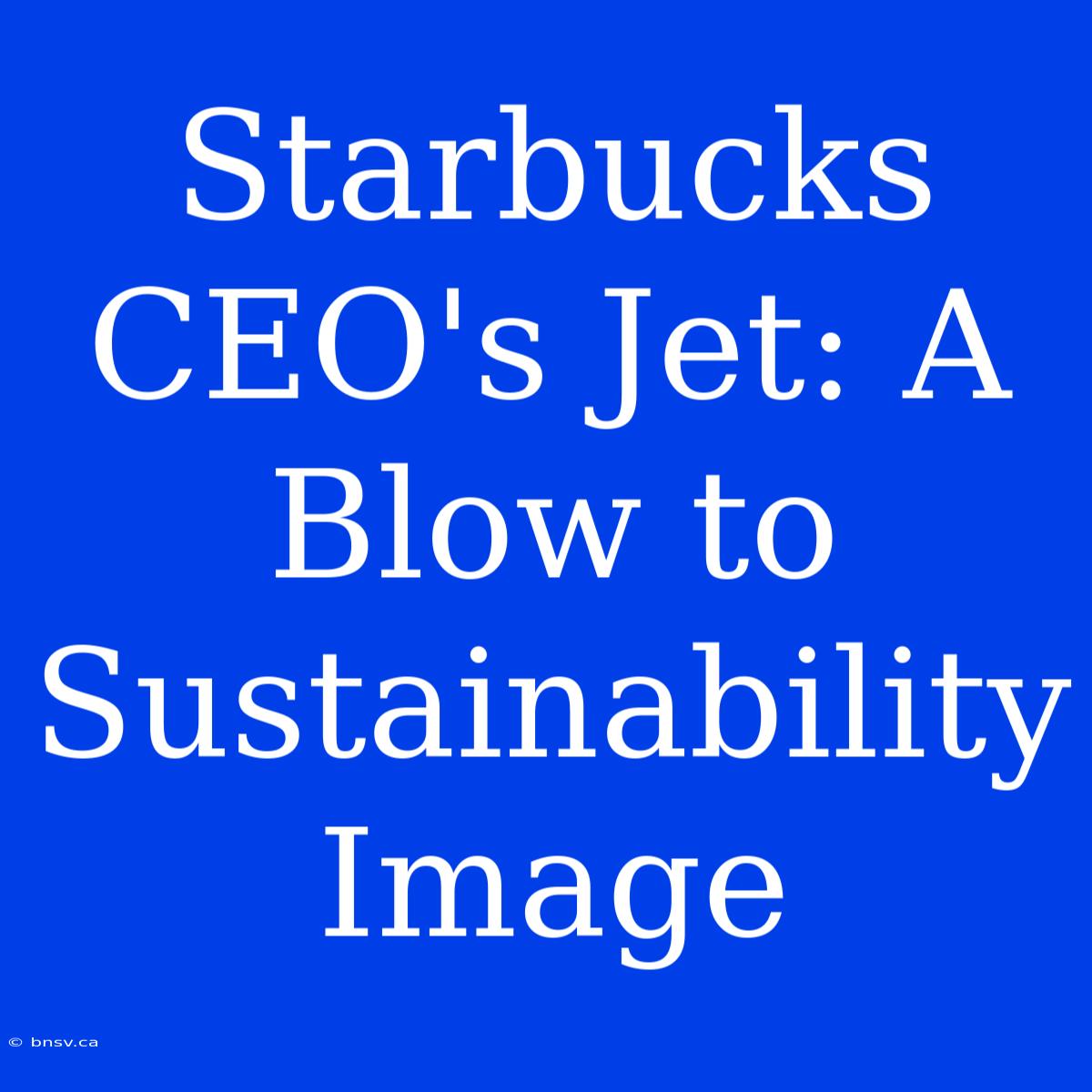 Starbucks CEO's Jet: A Blow To Sustainability Image