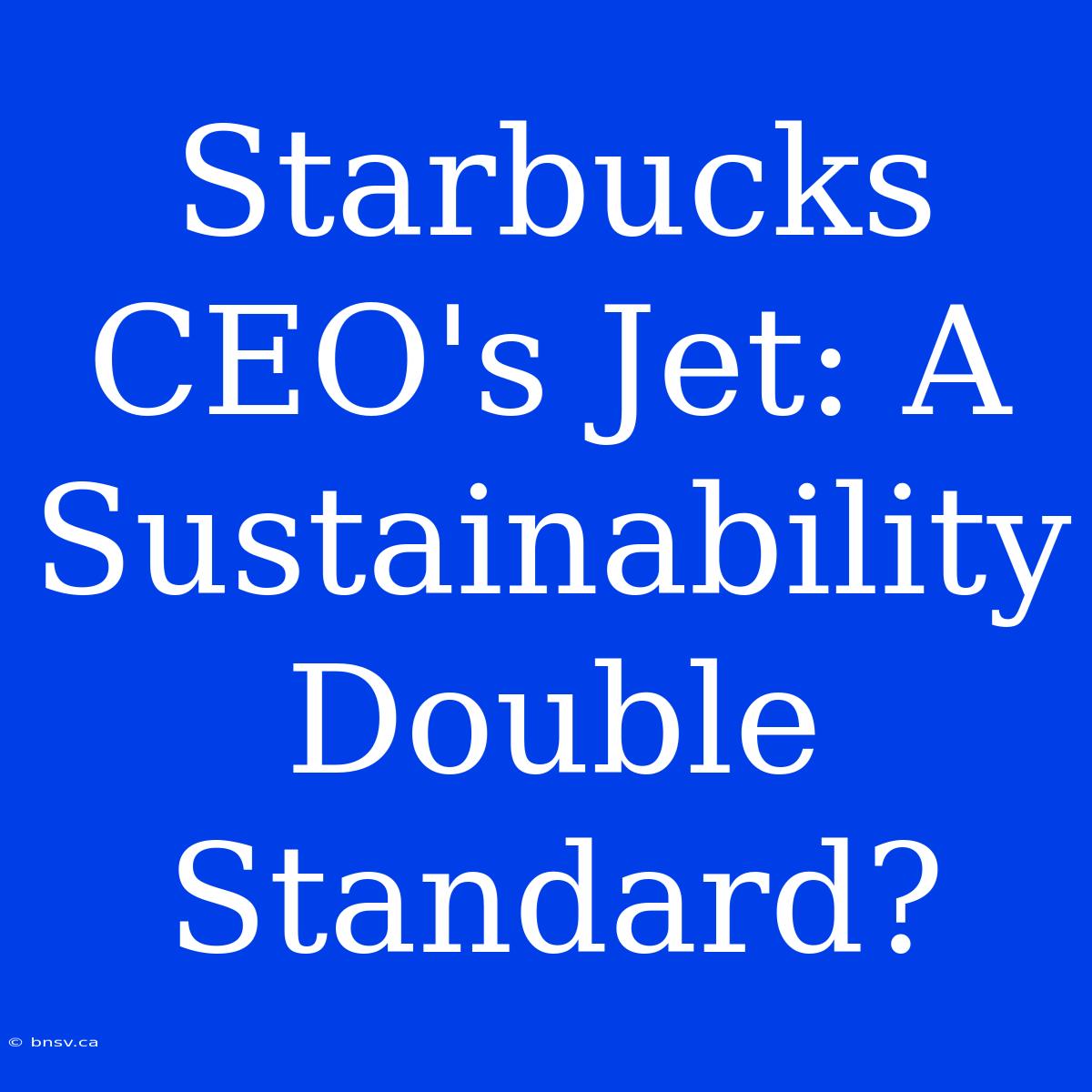 Starbucks CEO's Jet: A Sustainability Double Standard?