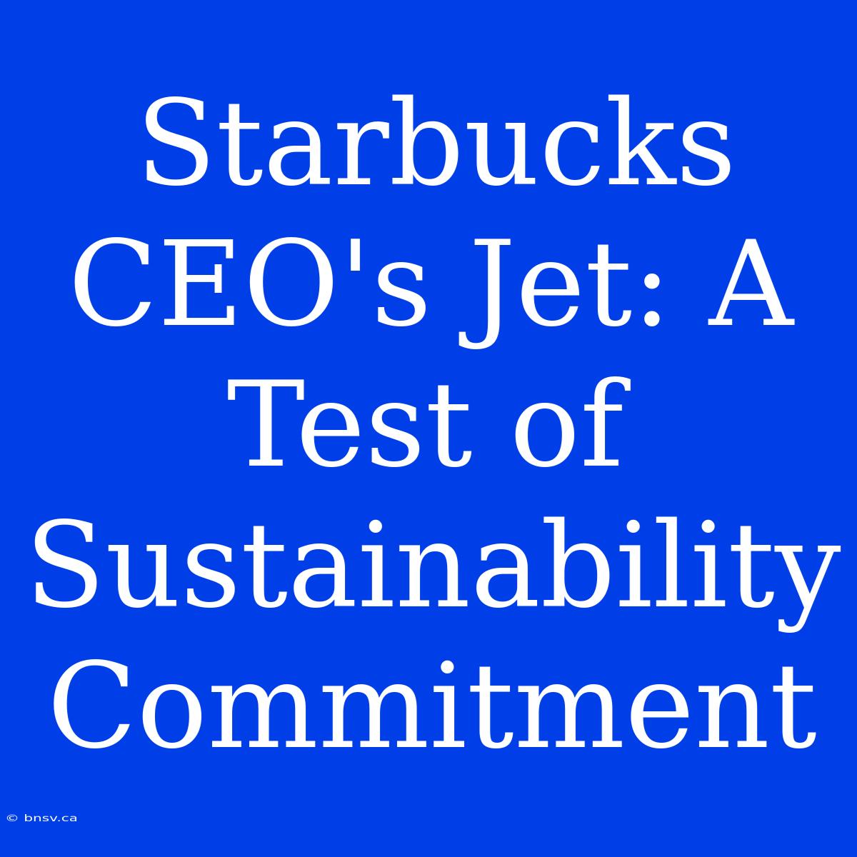 Starbucks CEO's Jet: A Test Of Sustainability Commitment