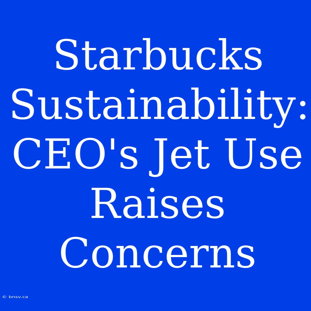 Starbucks Sustainability: CEO's Jet Use Raises Concerns