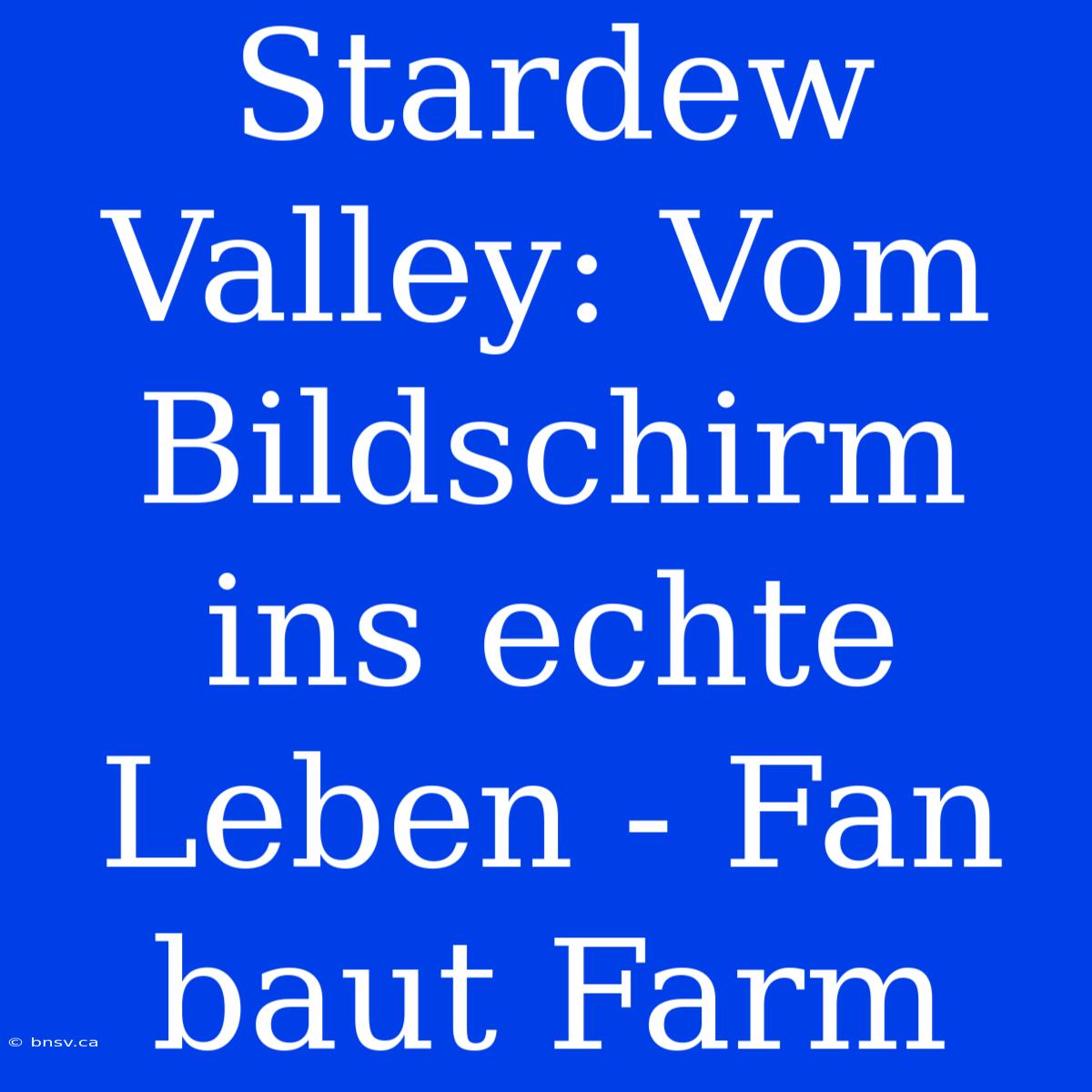 Stardew Valley: Vom Bildschirm Ins Echte Leben - Fan Baut Farm