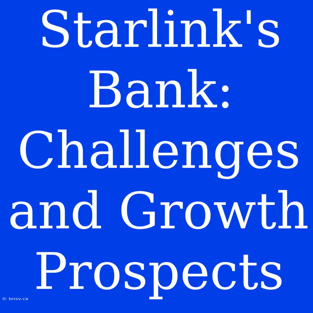 Starlink's Bank: Challenges And Growth Prospects