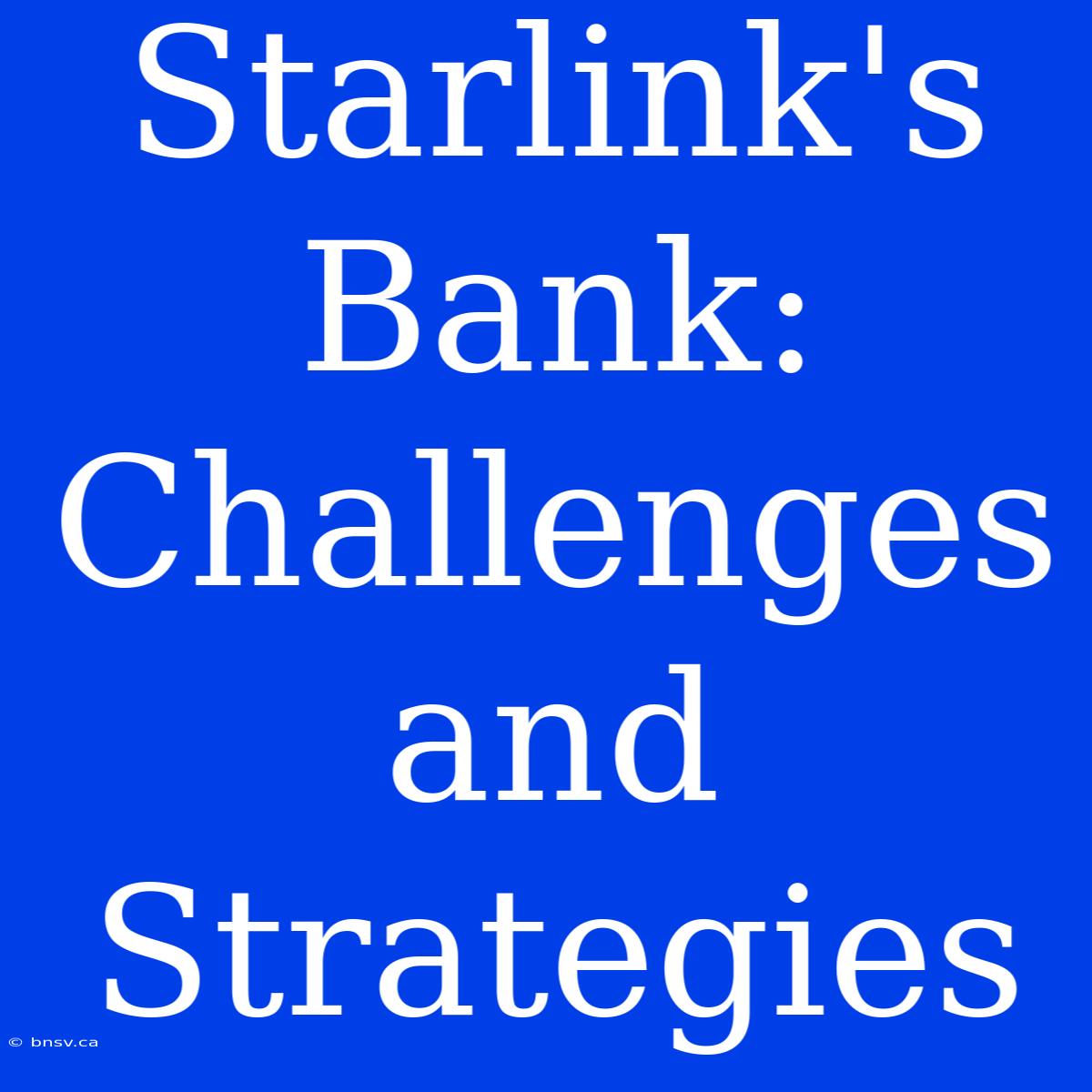 Starlink's Bank: Challenges And Strategies