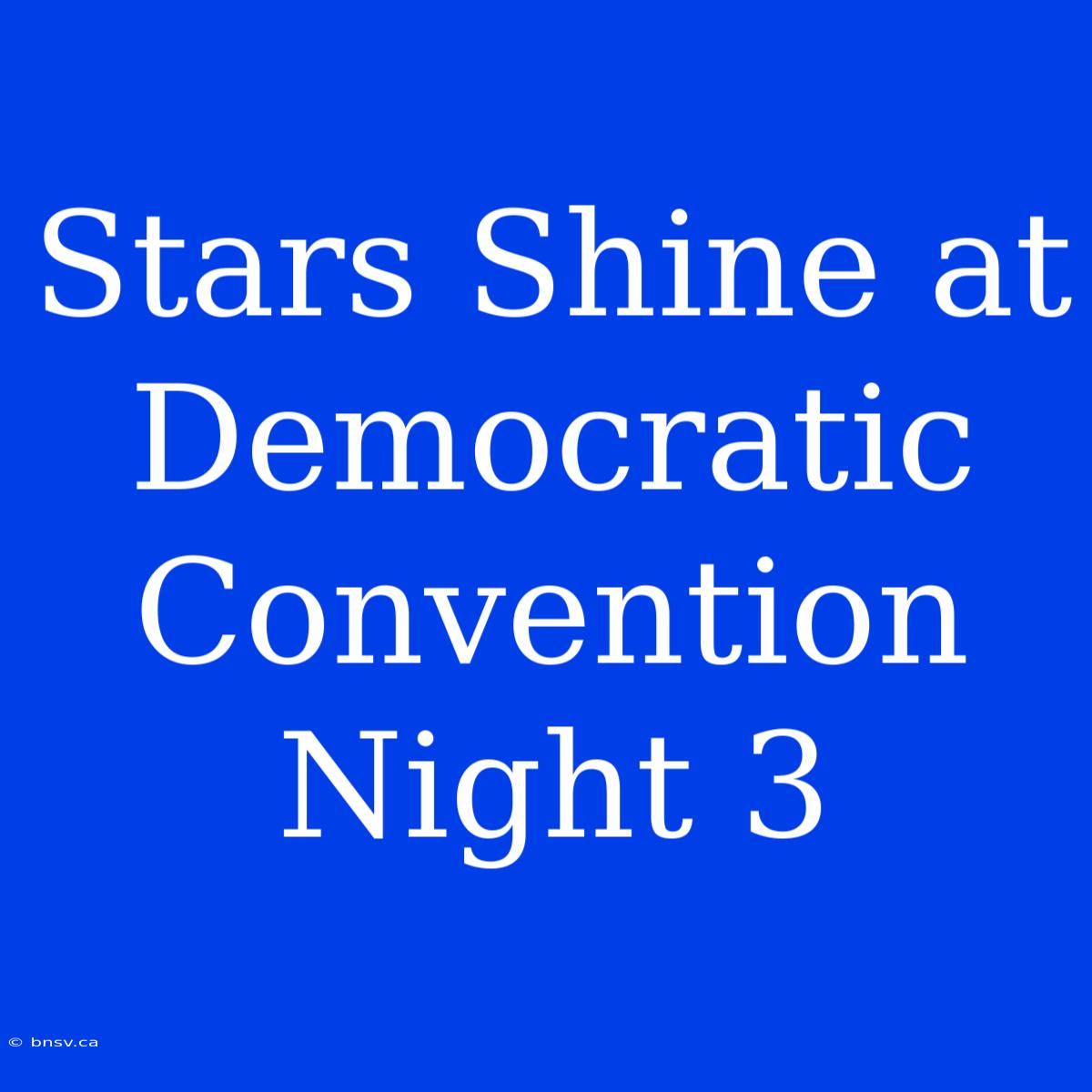 Stars Shine At Democratic Convention Night 3