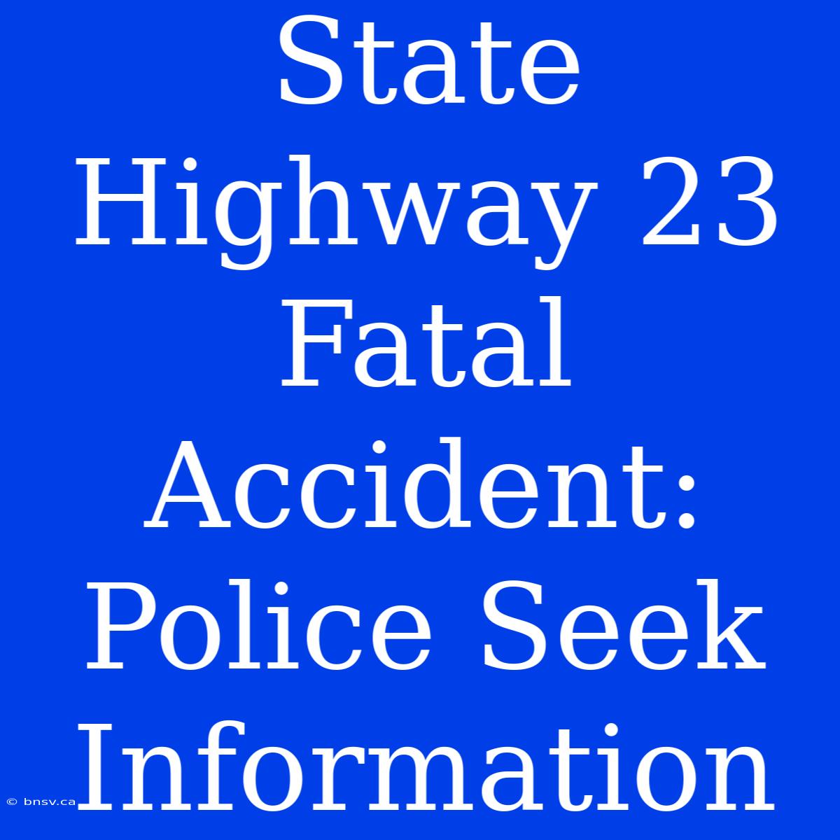 State Highway 23 Fatal Accident: Police Seek Information