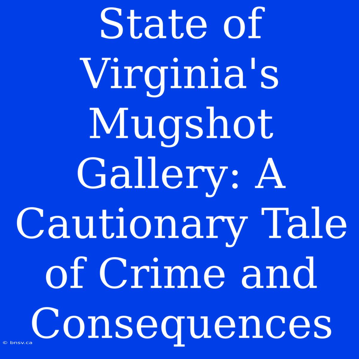 State Of Virginia's Mugshot Gallery: A Cautionary Tale Of Crime And Consequences