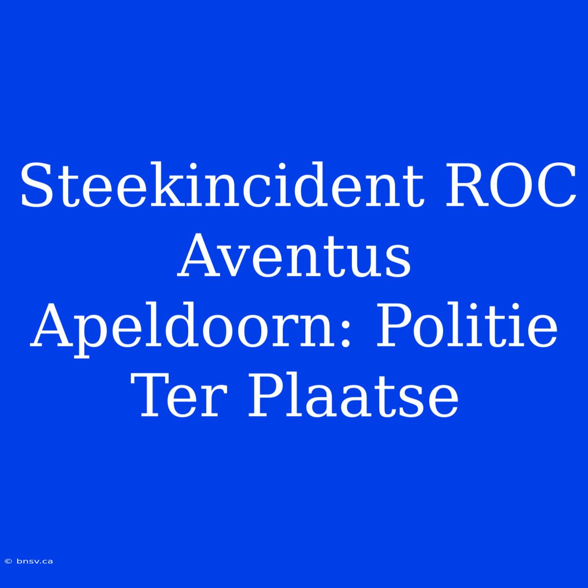 Steekincident ROC Aventus Apeldoorn: Politie Ter Plaatse