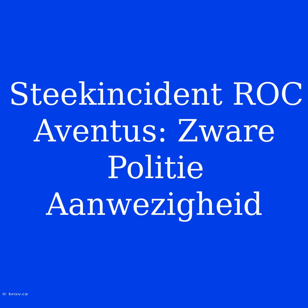 Steekincident ROC Aventus: Zware Politie Aanwezigheid