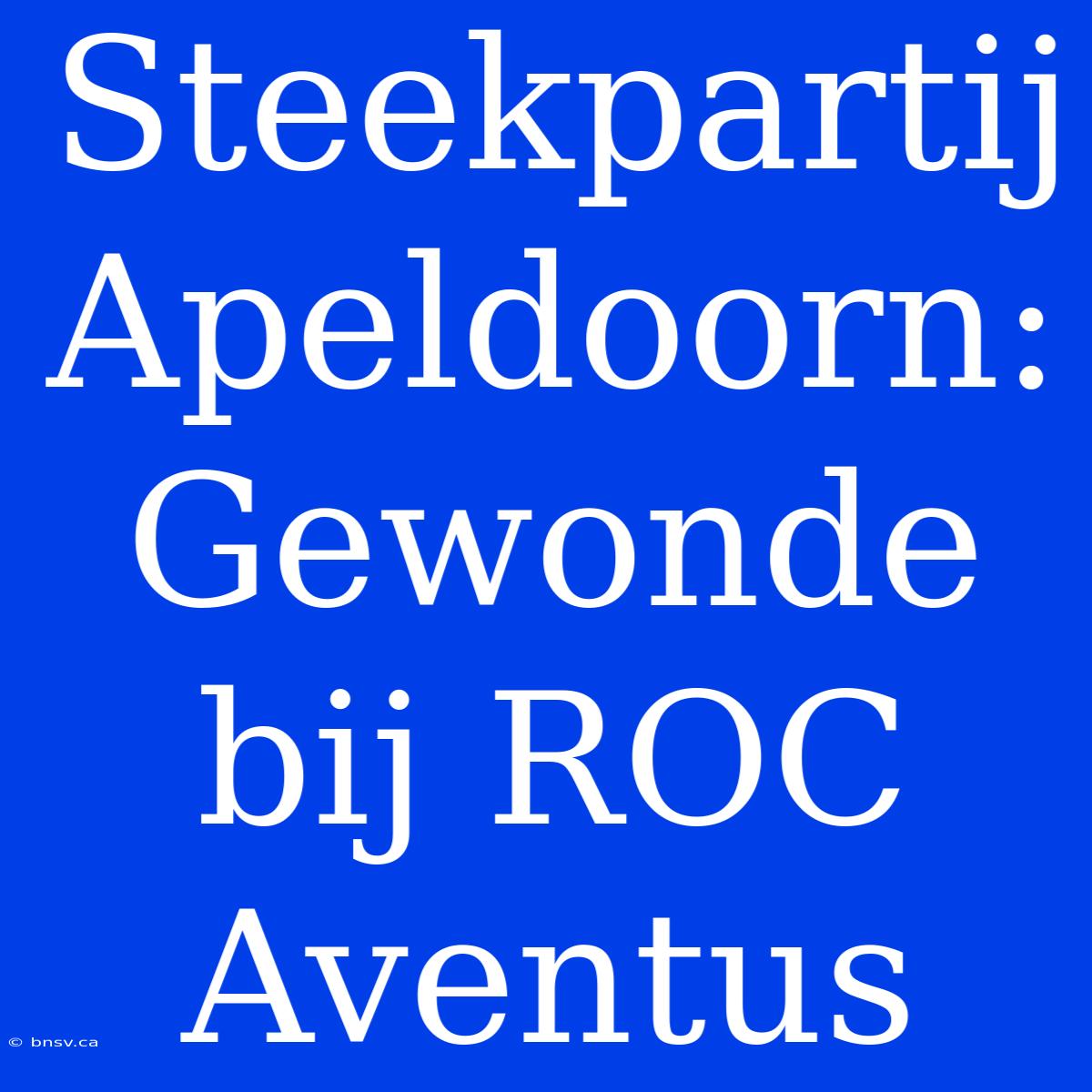 Steekpartij Apeldoorn: Gewonde Bij ROC Aventus