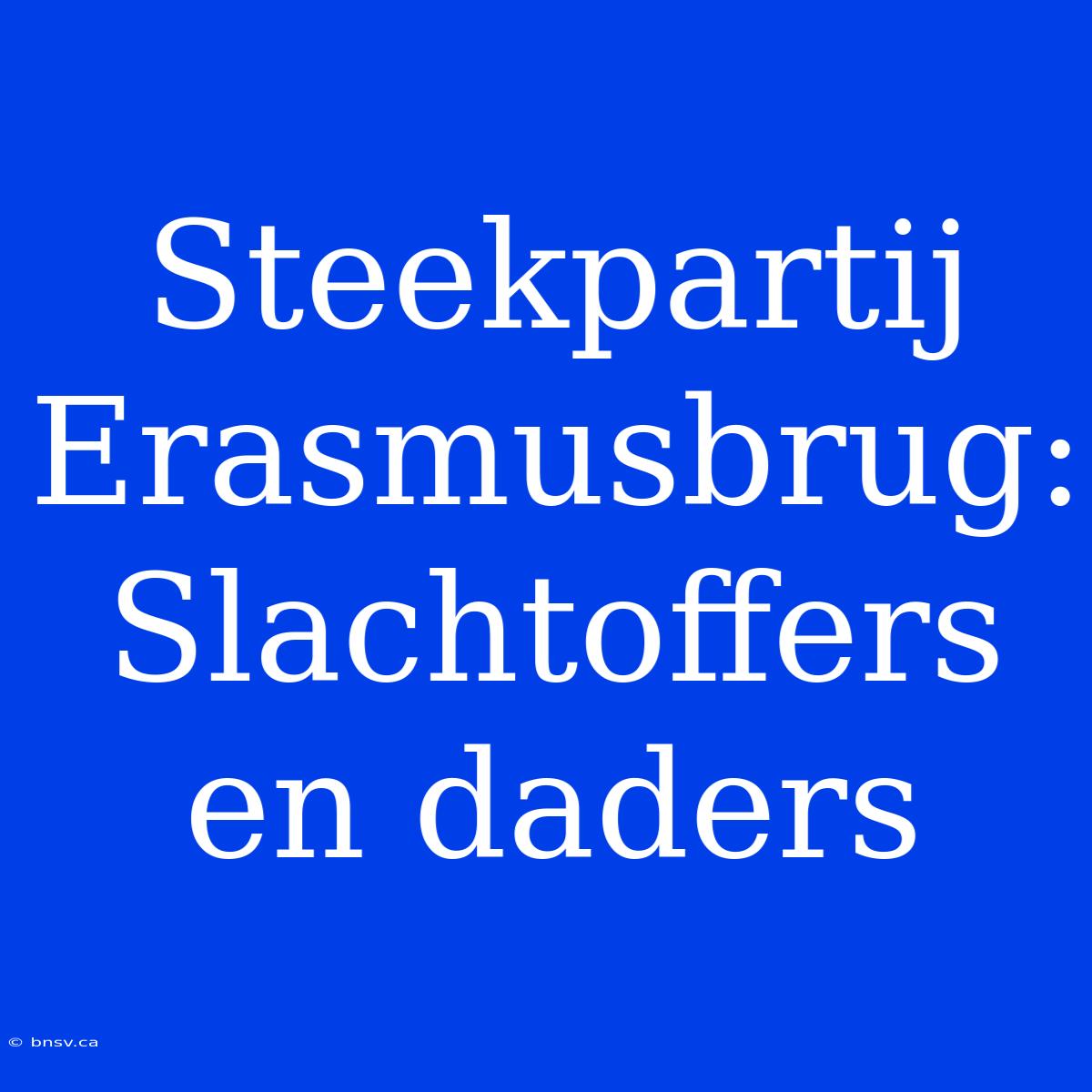 Steekpartij Erasmusbrug: Slachtoffers En Daders