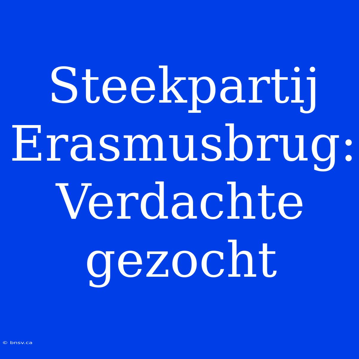 Steekpartij Erasmusbrug: Verdachte Gezocht