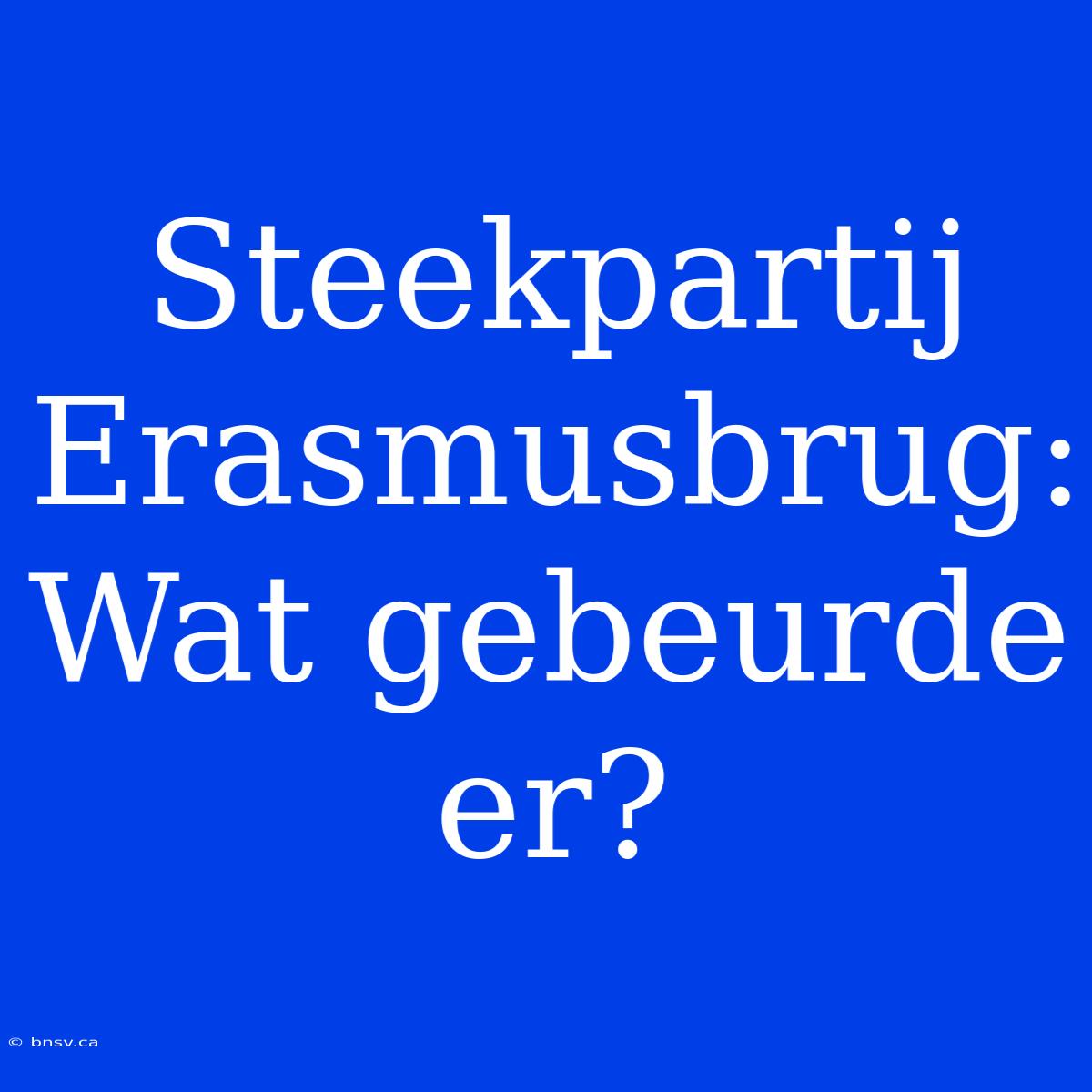 Steekpartij Erasmusbrug: Wat Gebeurde Er?