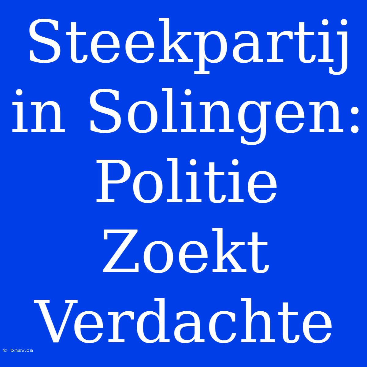 Steekpartij In Solingen: Politie Zoekt Verdachte