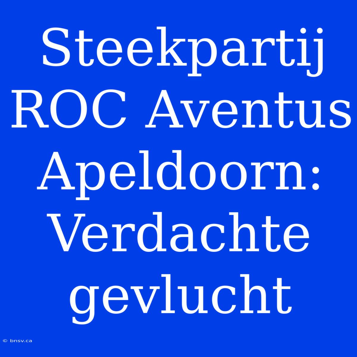 Steekpartij ROC Aventus Apeldoorn: Verdachte Gevlucht