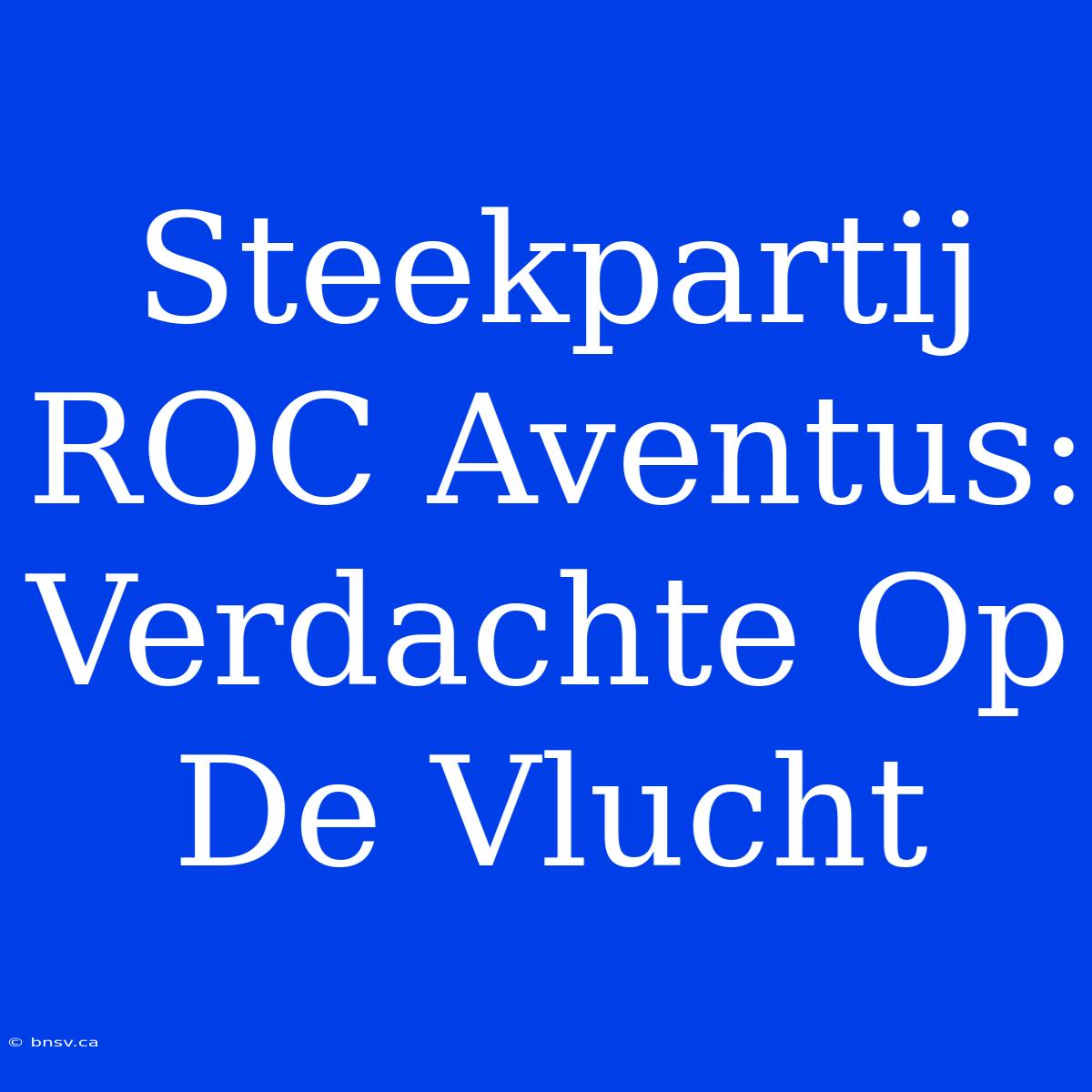 Steekpartij ROC Aventus: Verdachte Op De Vlucht