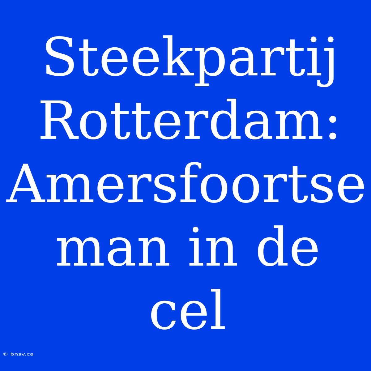 Steekpartij Rotterdam: Amersfoortse Man In De Cel