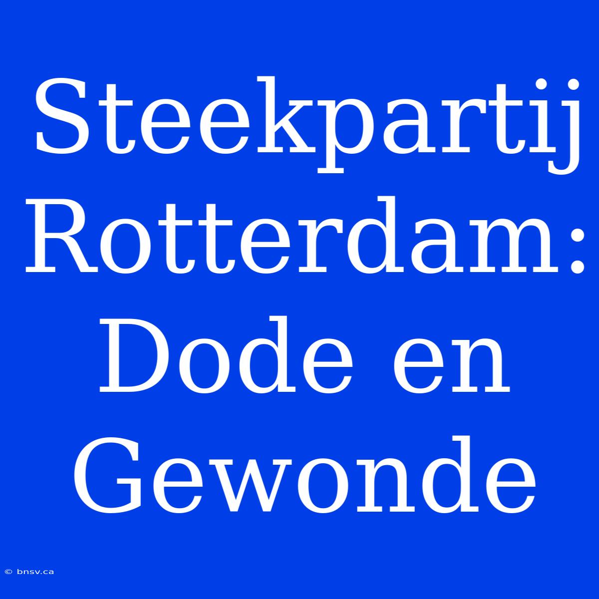 Steekpartij Rotterdam: Dode En Gewonde