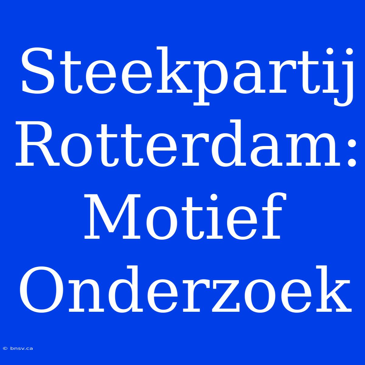 Steekpartij Rotterdam: Motief Onderzoek