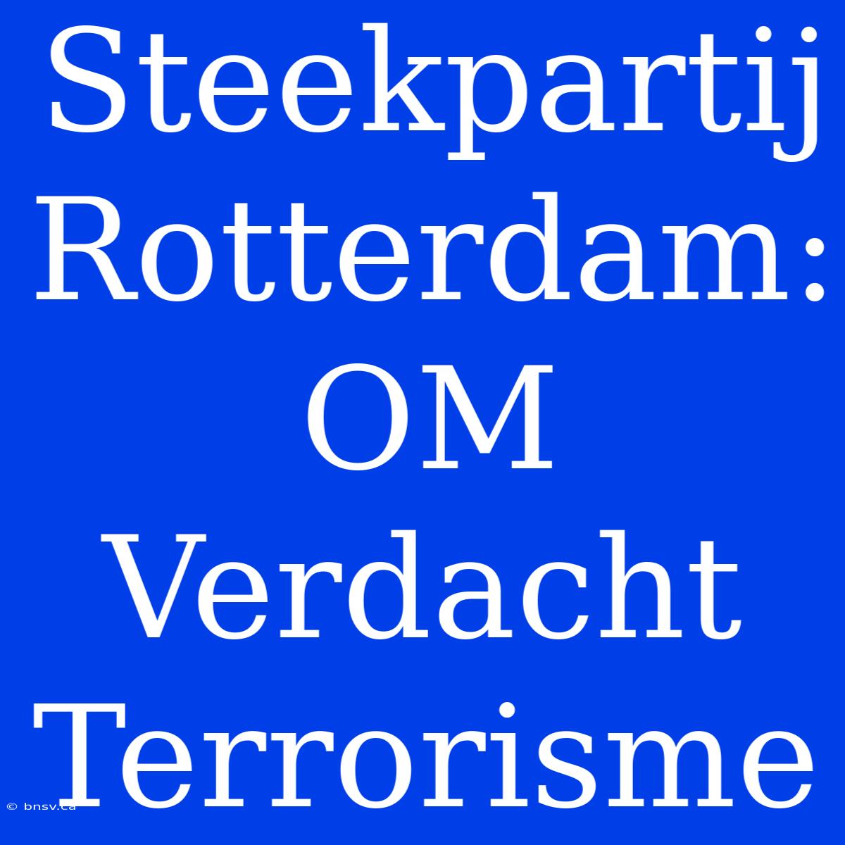 Steekpartij Rotterdam: OM Verdacht Terrorisme