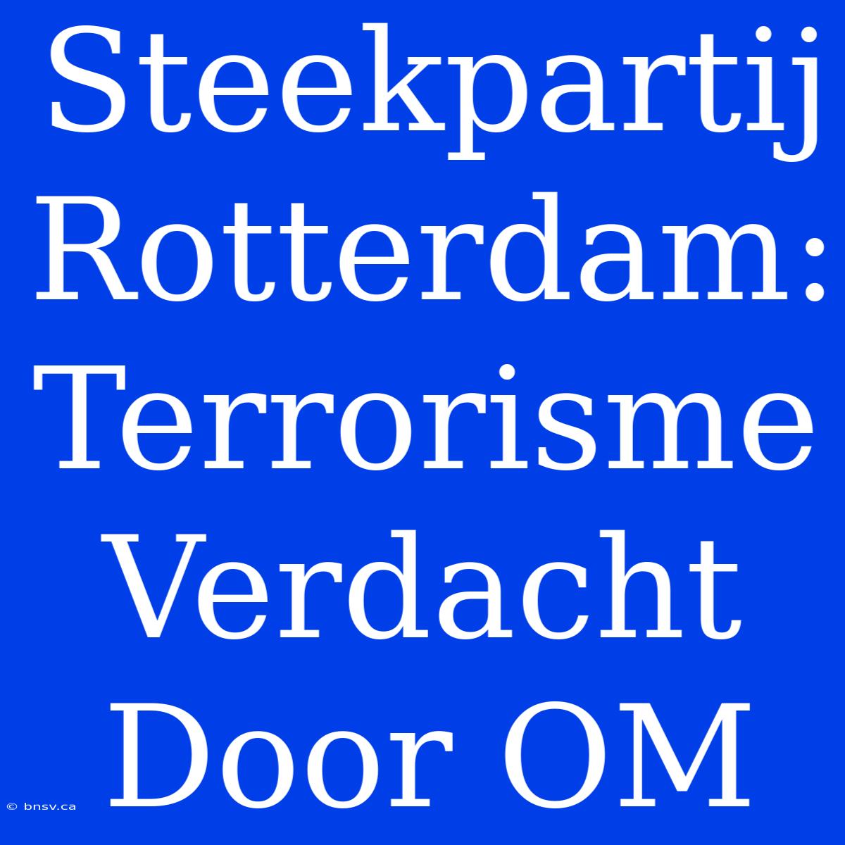 Steekpartij Rotterdam: Terrorisme Verdacht Door OM