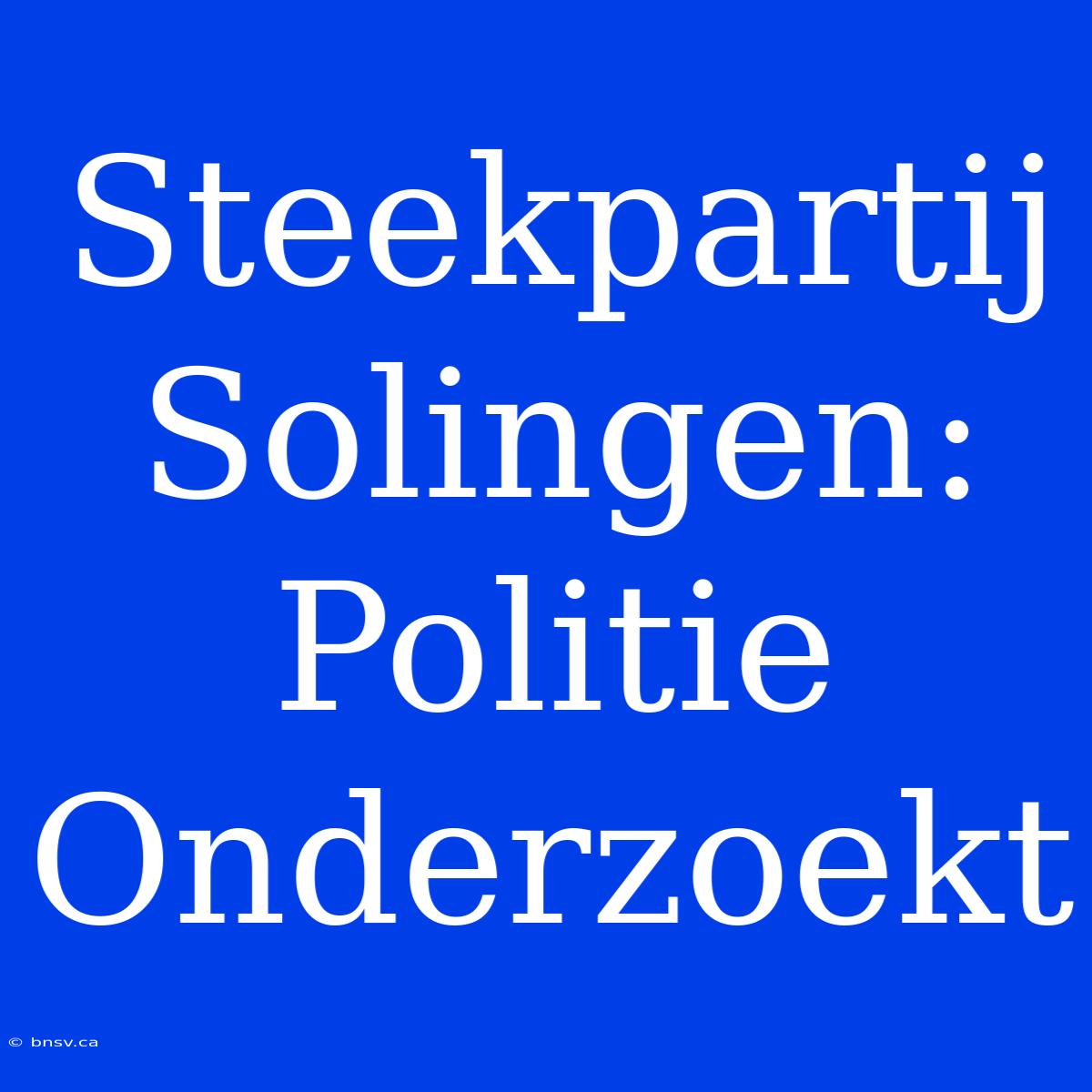 Steekpartij Solingen: Politie Onderzoekt