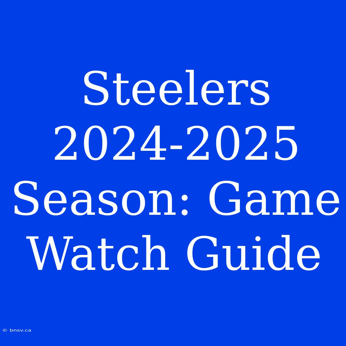 Steelers 2024-2025 Season: Game Watch Guide