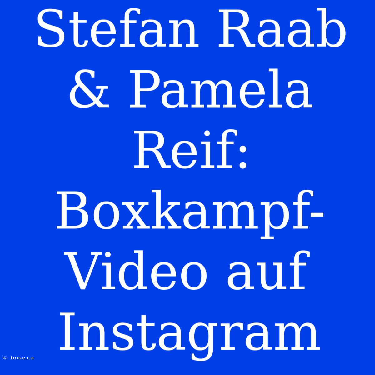 Stefan Raab & Pamela Reif: Boxkampf-Video Auf Instagram