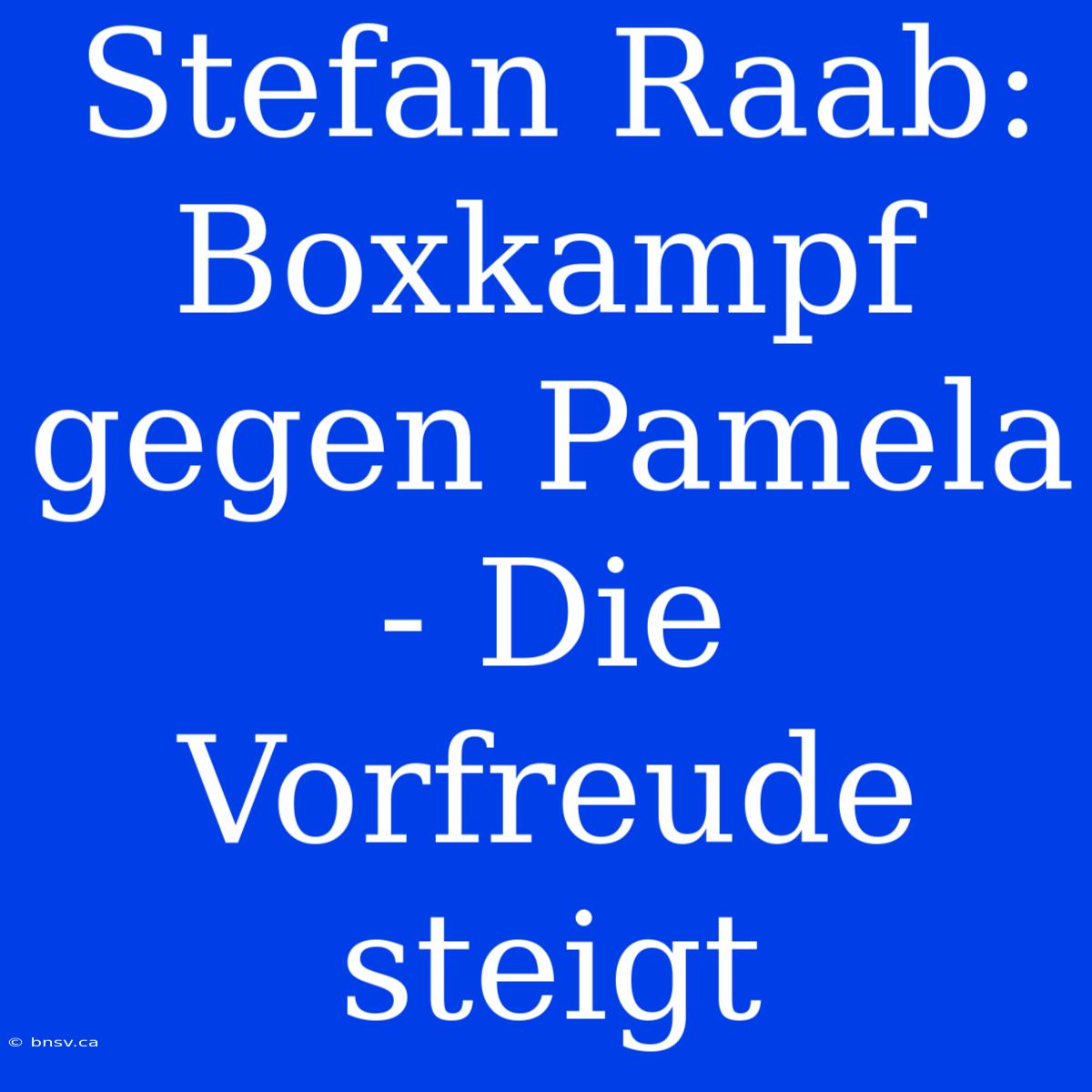 Stefan Raab: Boxkampf Gegen Pamela - Die Vorfreude Steigt