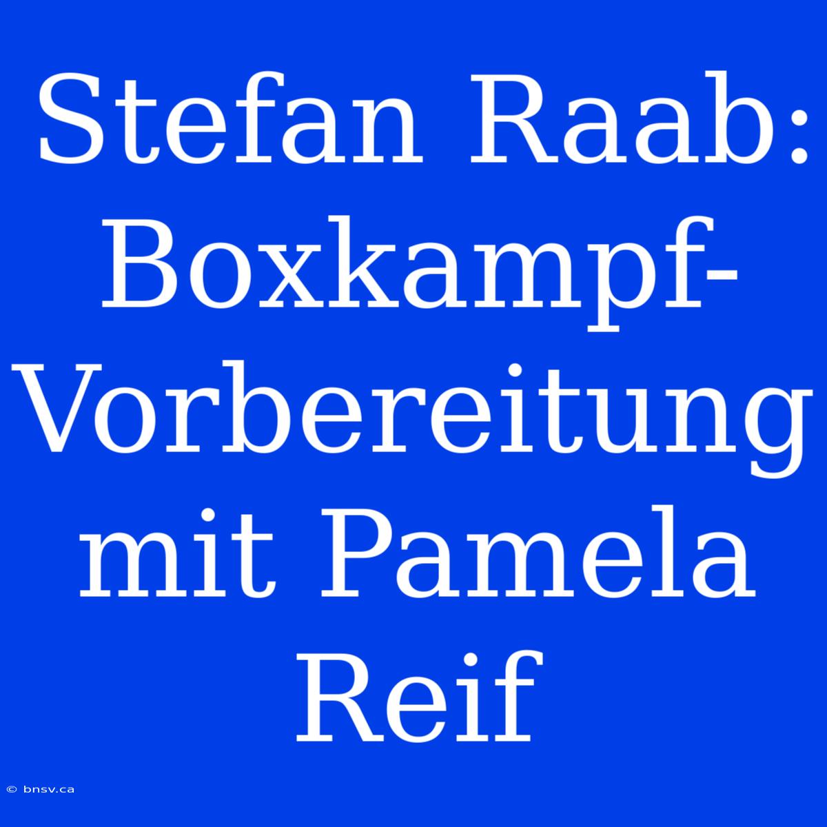 Stefan Raab: Boxkampf-Vorbereitung Mit Pamela Reif