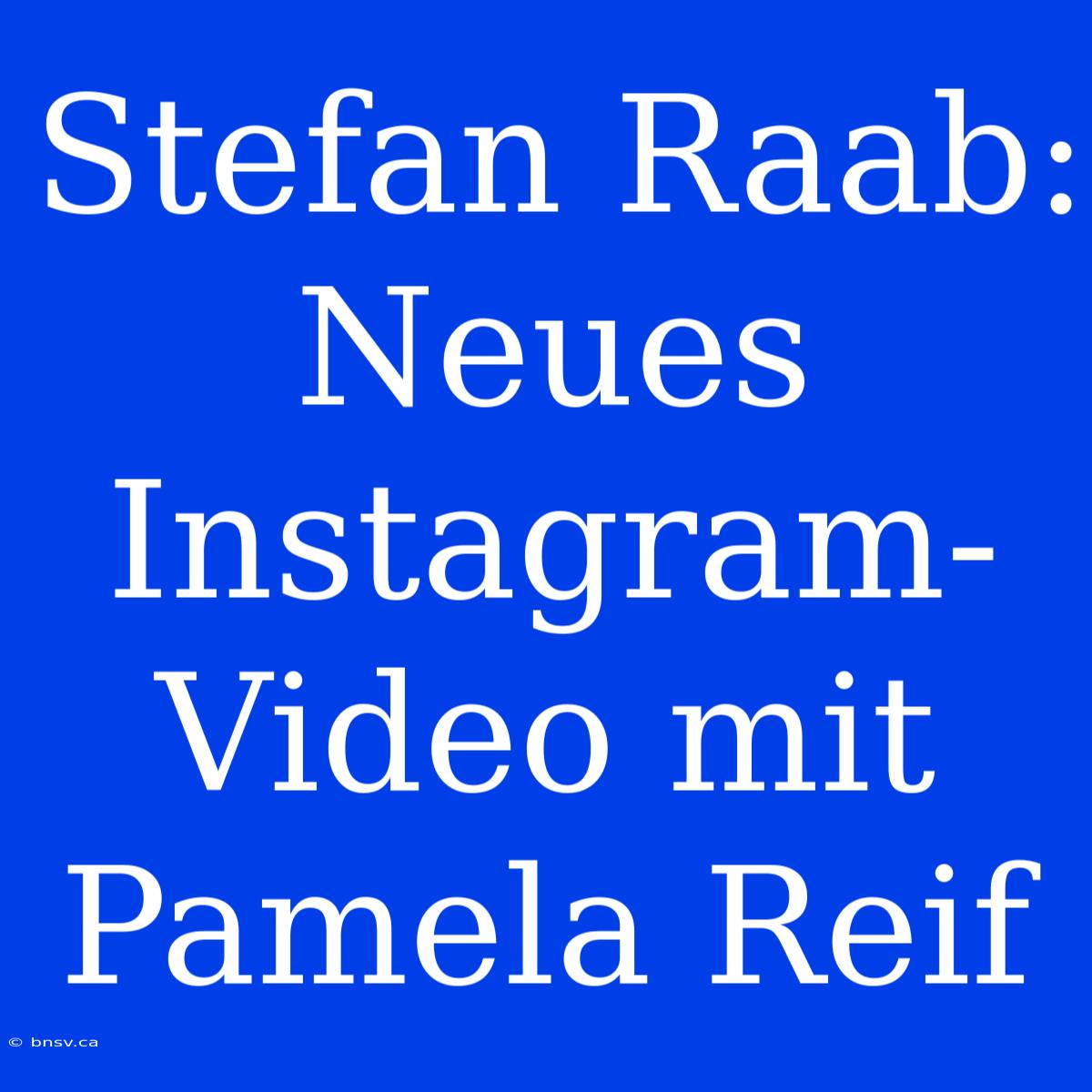 Stefan Raab: Neues Instagram-Video Mit Pamela Reif