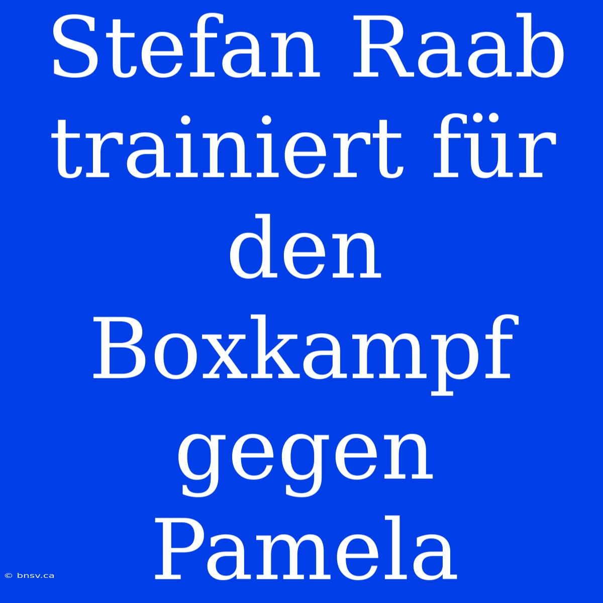 Stefan Raab Trainiert Für Den Boxkampf Gegen Pamela